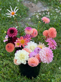 Dahliabøtte Til Festen 2025