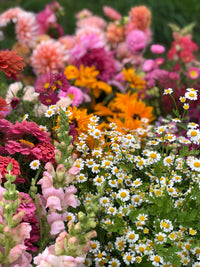 Blomsterbøtte Til Festen 2025 - Liten