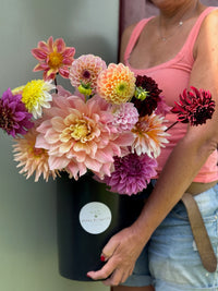 Dahliabøtte Til Festen 2025