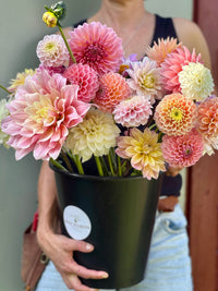 Dahliabøtte Til Festen 2025