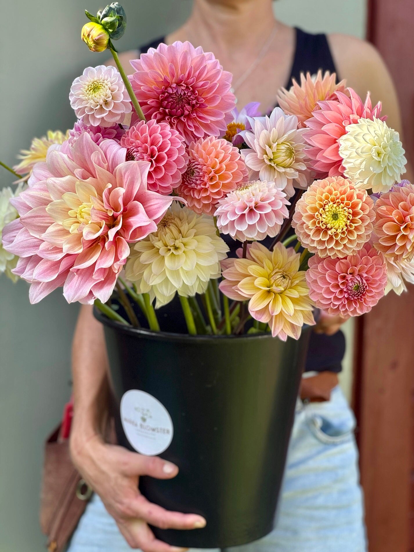 Dahliabøtte Til Festen 2025