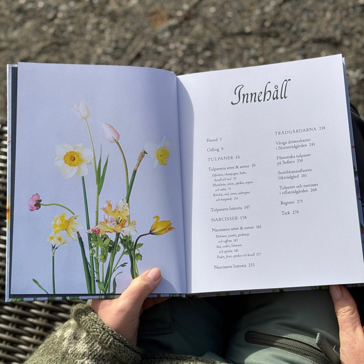 Tulpan & Narciss - Ulrika Grönlund