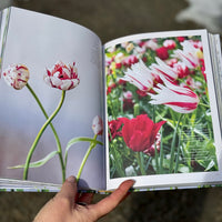 Tulpan & Narciss - Ulrika Grönlund