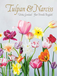 Tulpan & Narciss - Ulrika Grönlund