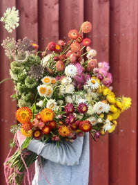 Såkurs 3. april - Dyrk blomster til tørking!