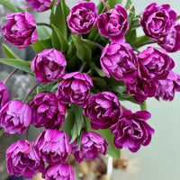Tulipanløk Miks 15 stk - 'Petal Power'
