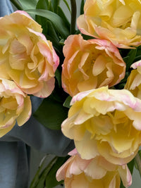 Tulipanløk Miks 15 stk - 'Petal Power'