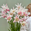 Tulipanløk Miks 15 stk - 'Carnival'