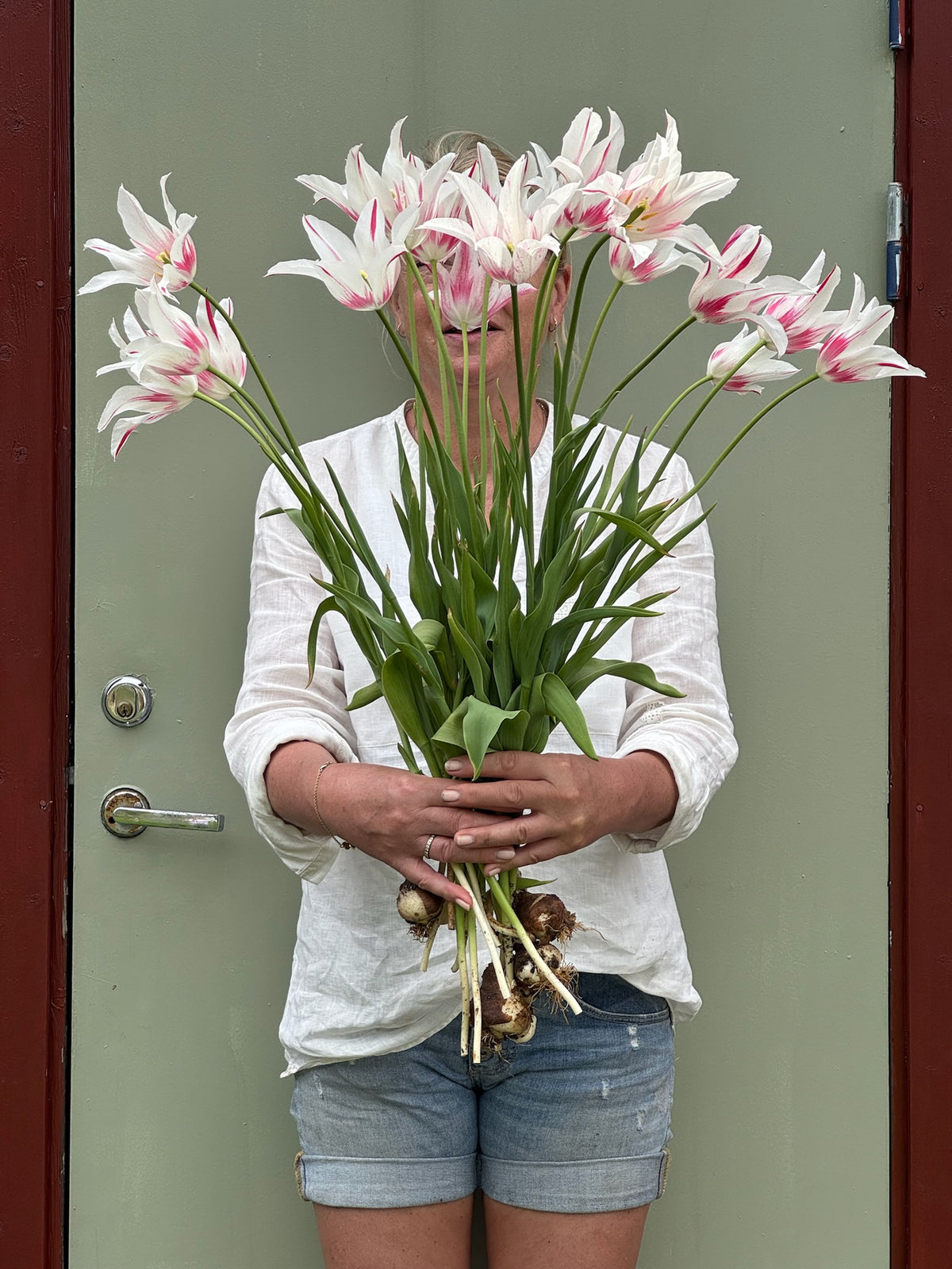 Tulipanløk Miks 15 stk - 'Carneval'