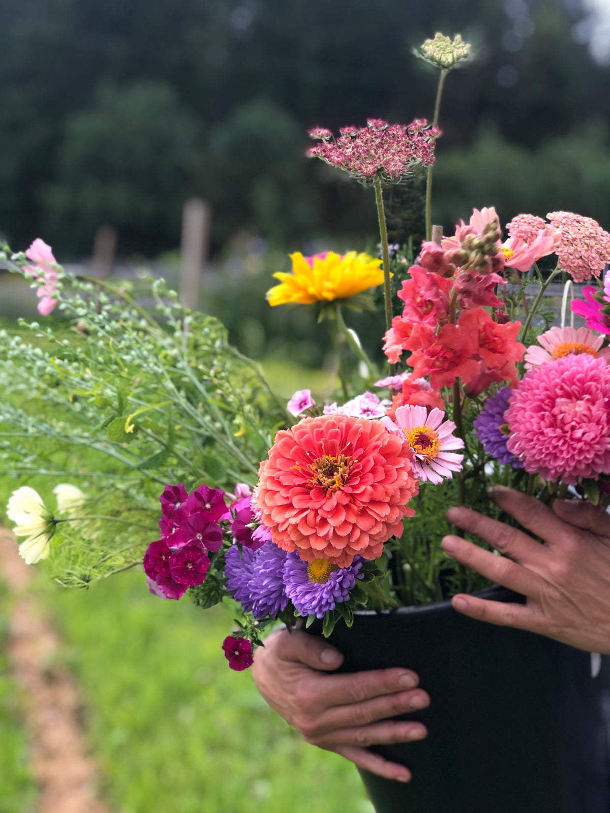 Festbøtte med avskårne åkerblomster