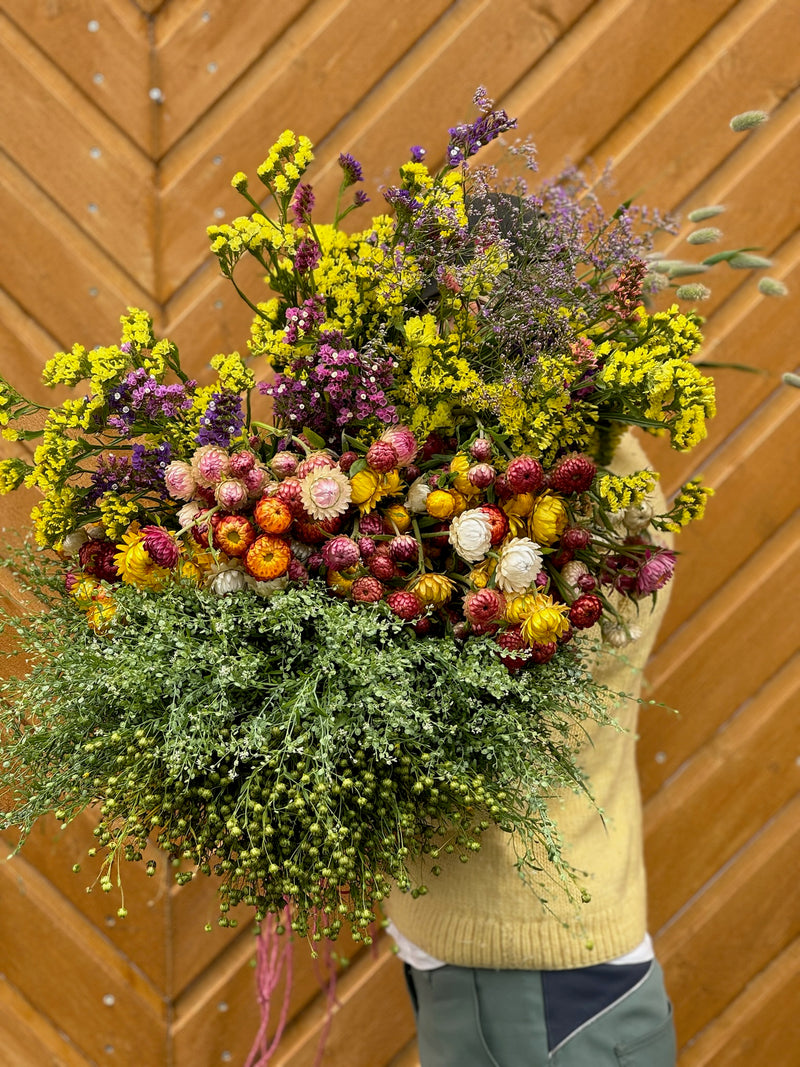 Såkurs 3. april - Dyrk blomster til tørking!