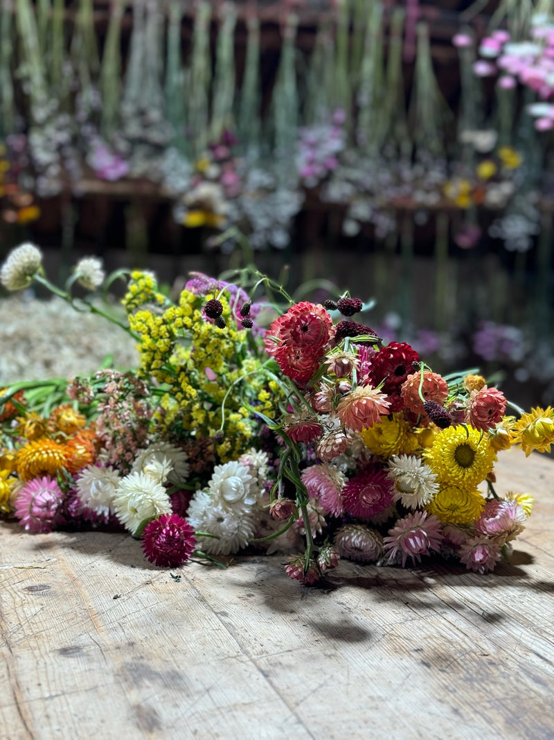 Såkurs 3. april - Dyrk blomster til tørking!