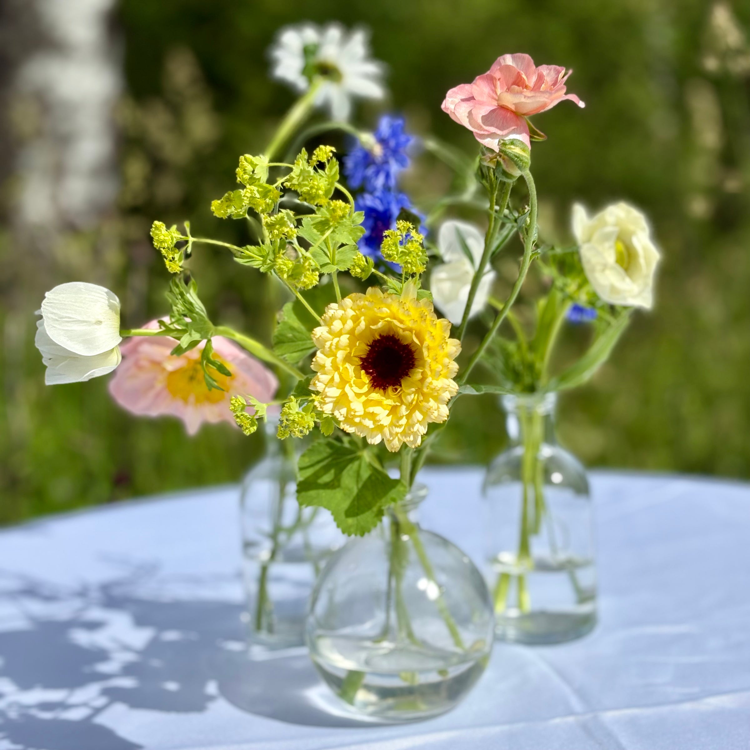 Sesongens blomster i småvaser - Klappet & Klart