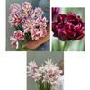 Tulipanløk Miks 15 stk - 'Carnival'